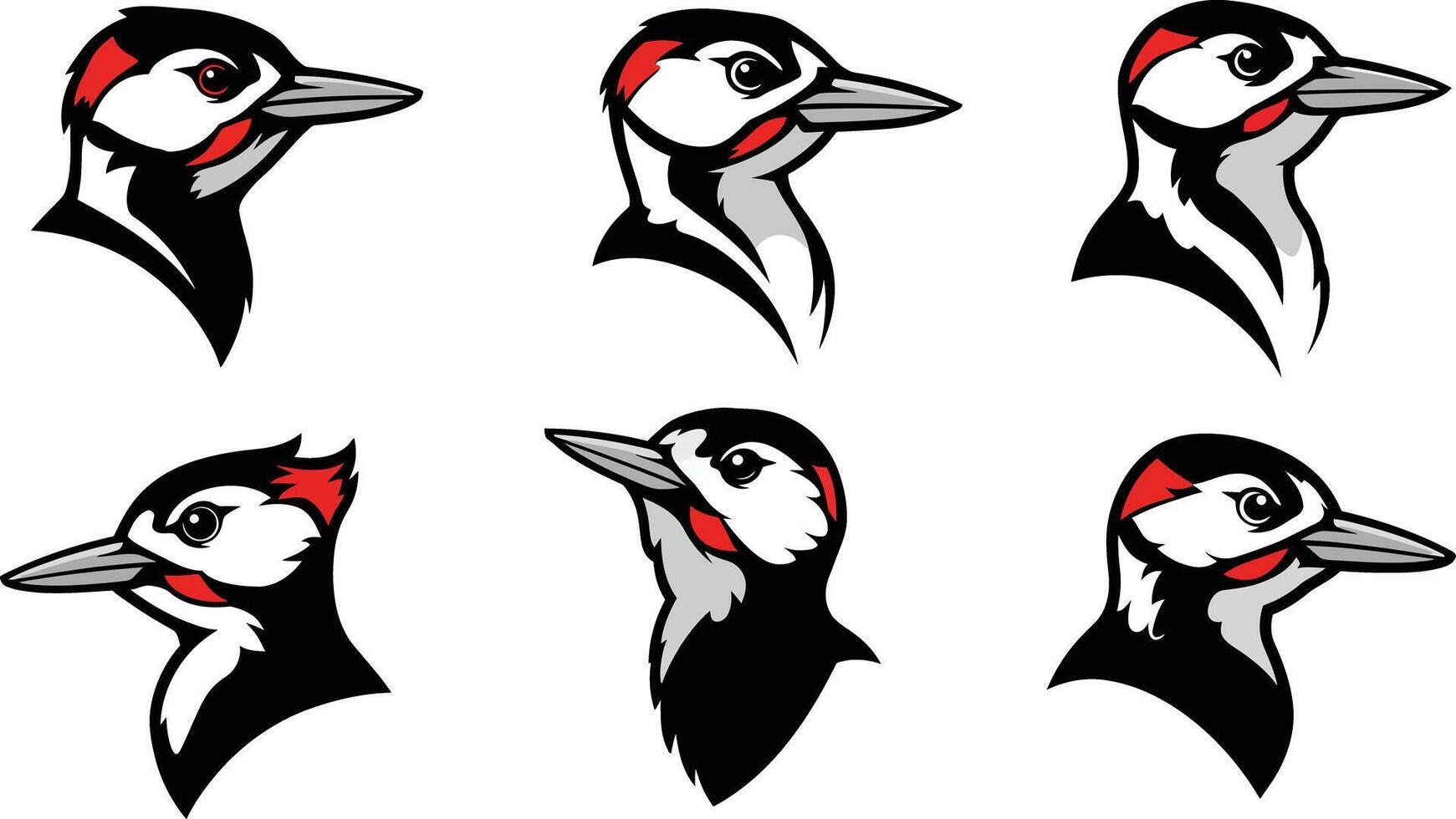Woodpecker bird head close-up illustrations with red and black feathers in multiple poses set vector