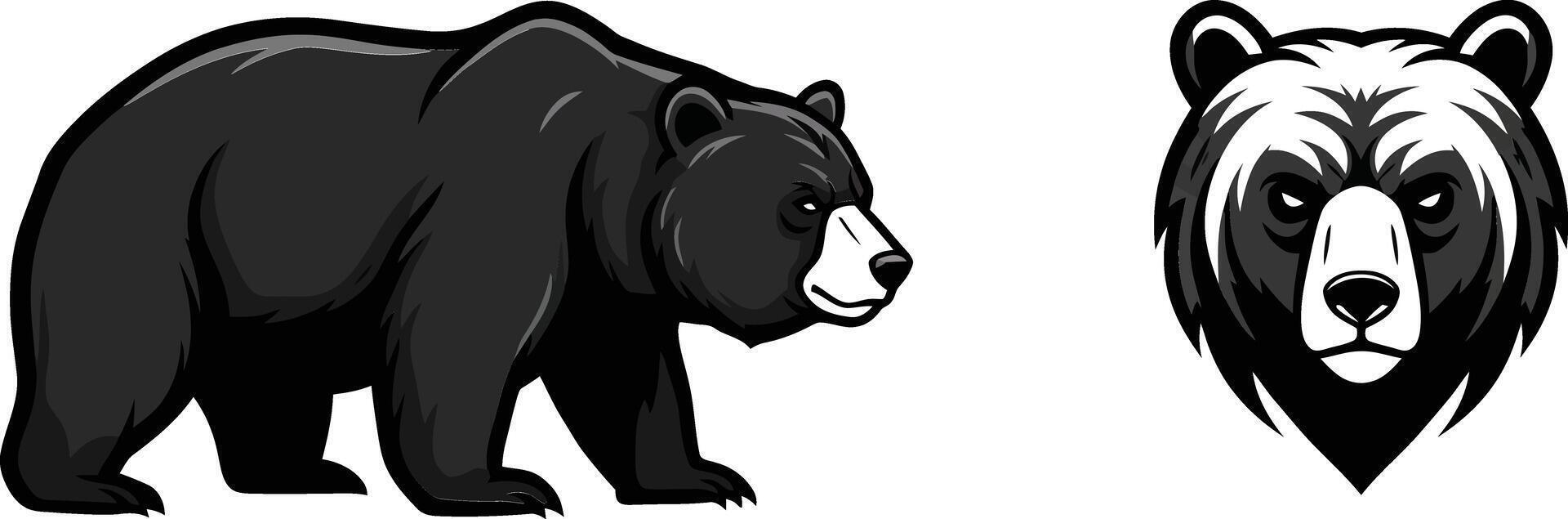 Black bear standing and head close up illustration with natural animal wildlife theme vector