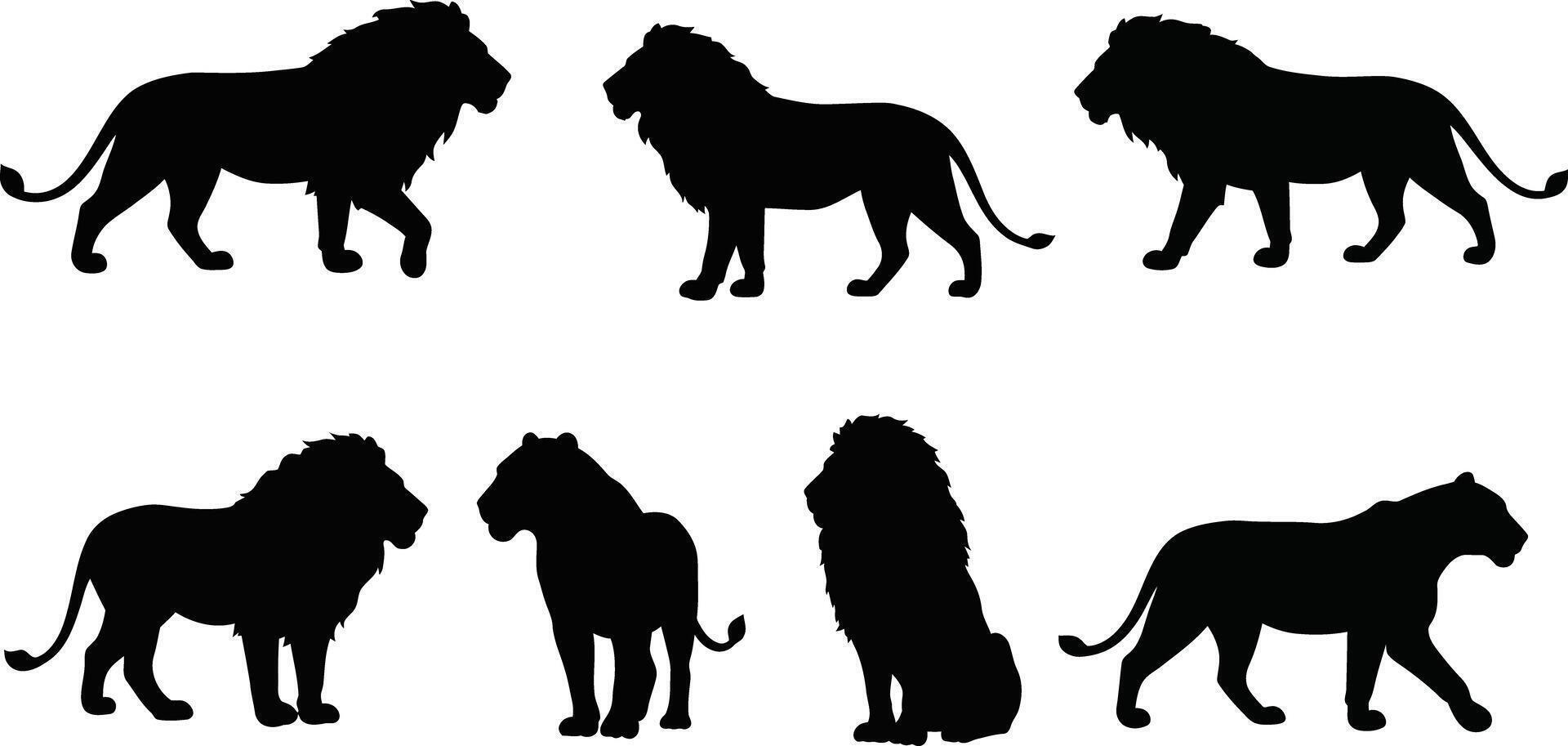 Silhouettes of lions in various poses depicting wild animal strength and majesty in black illustration vector