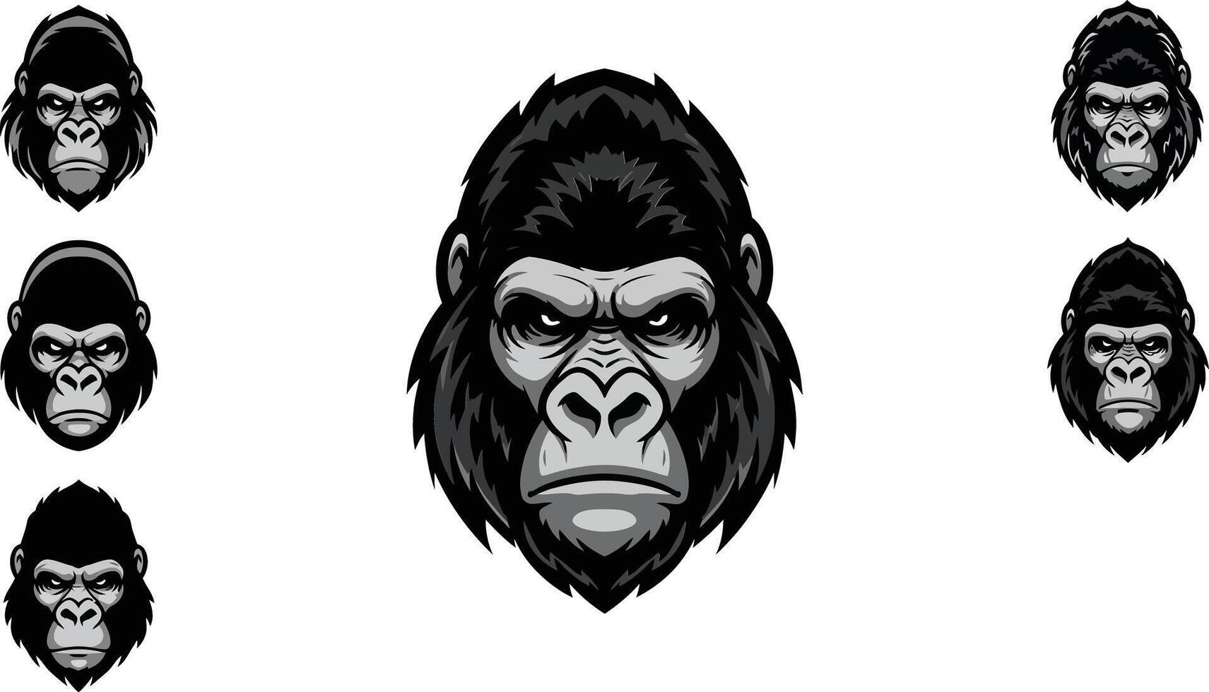 Gorilla illustrations showing different standing and walking poses in dark grey and black colors for design use vector