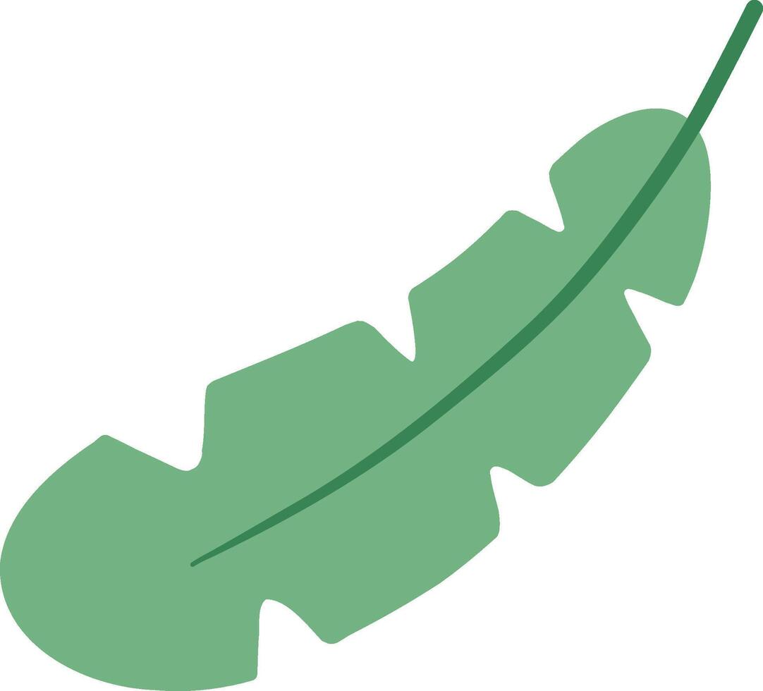 Jungle Banana Leaf with Split Edges Illustration vector