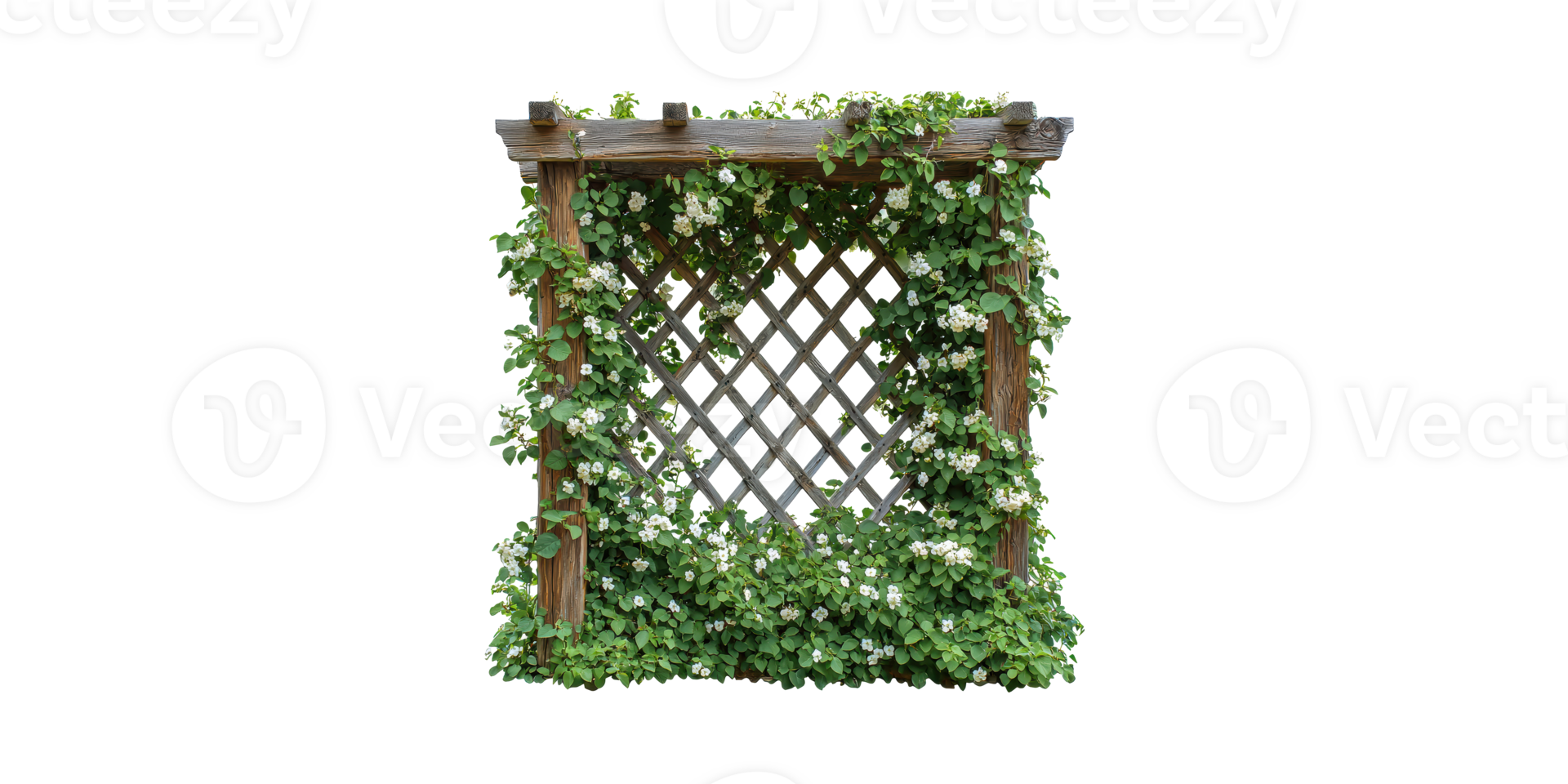 Wooden Garden Trellis With Climbing Plants And Flowers. Outdoor Decor And Landscaping Design Isolated On Transparent Background png