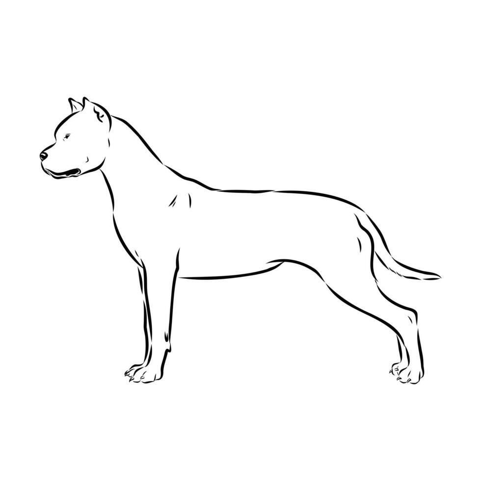 Strong dog Great Dane handmade sketch vector