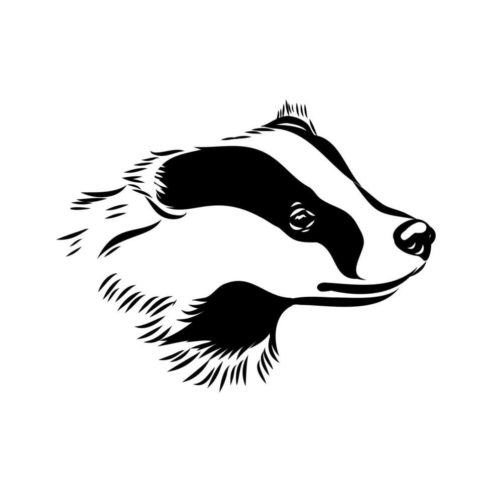 The animal is a badger hand sketch vector