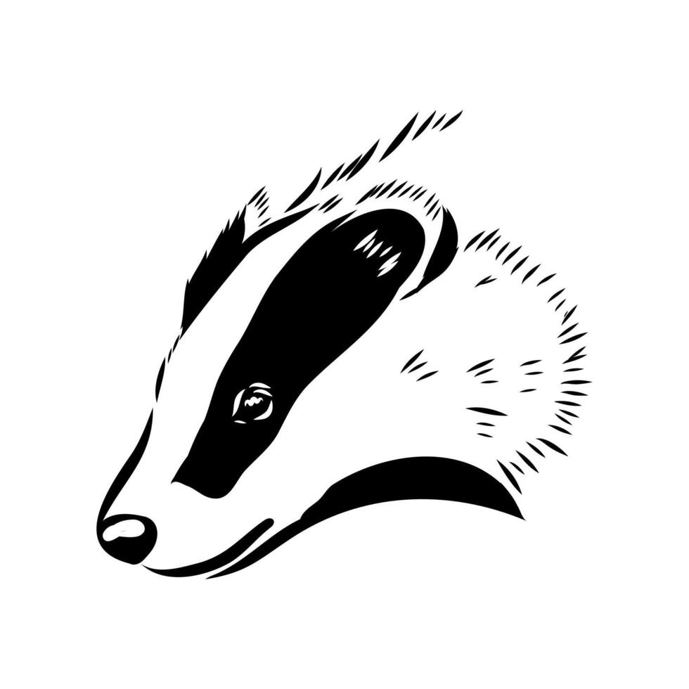 badger's head black and white sketch vector