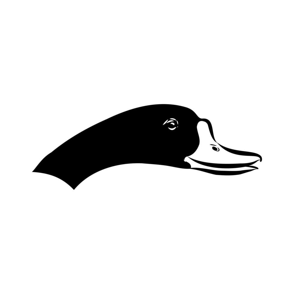 shelduck duck head drawing vector
