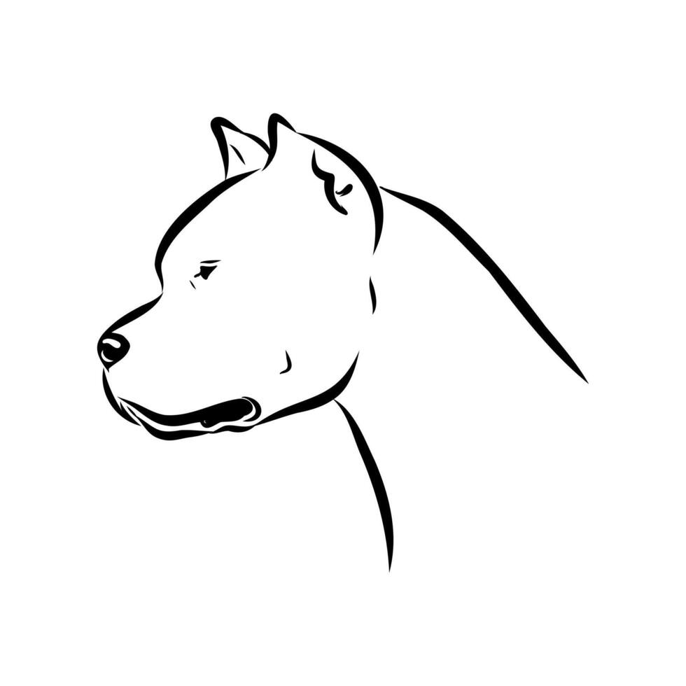hunting dog Great Dane of Argentina black and white drawing vector