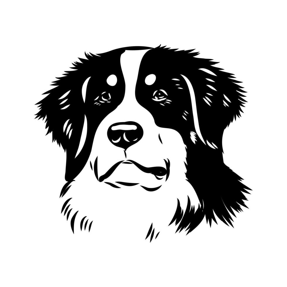 bernese montain swiss dog head sketch vector