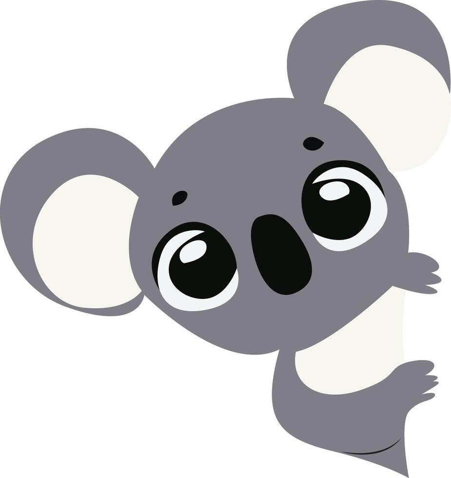 Koala Peeking Cartoon Illustration vector