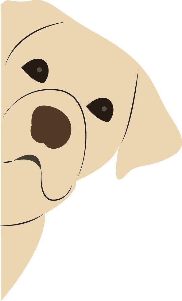 Yellow Lab Peeking Corner Illustration vector
