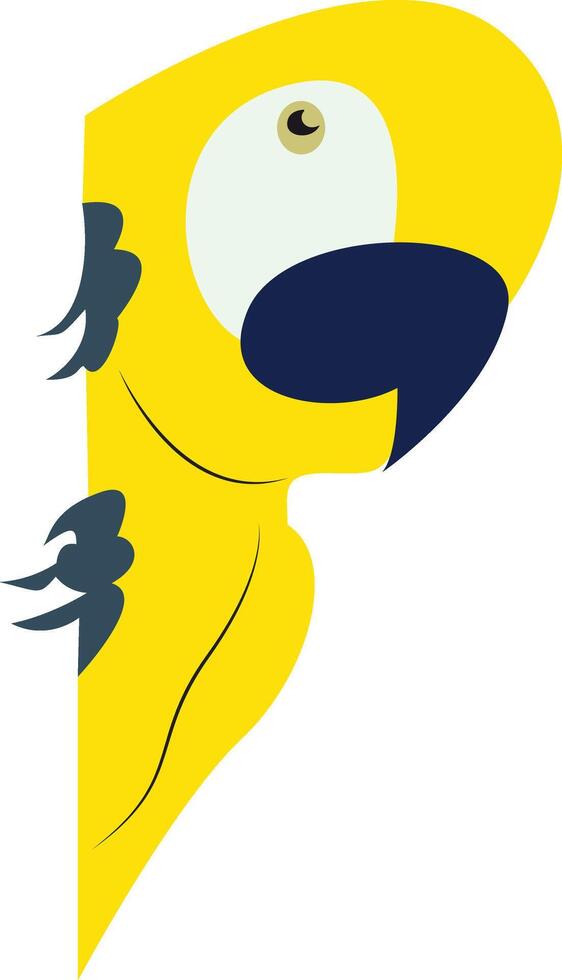Yellow Parrot Peeking Black Background vector