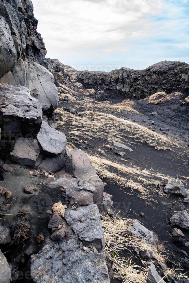 vertical photograph of rocks, dry grass and black sand in Icelandic land during a cloudy day photo