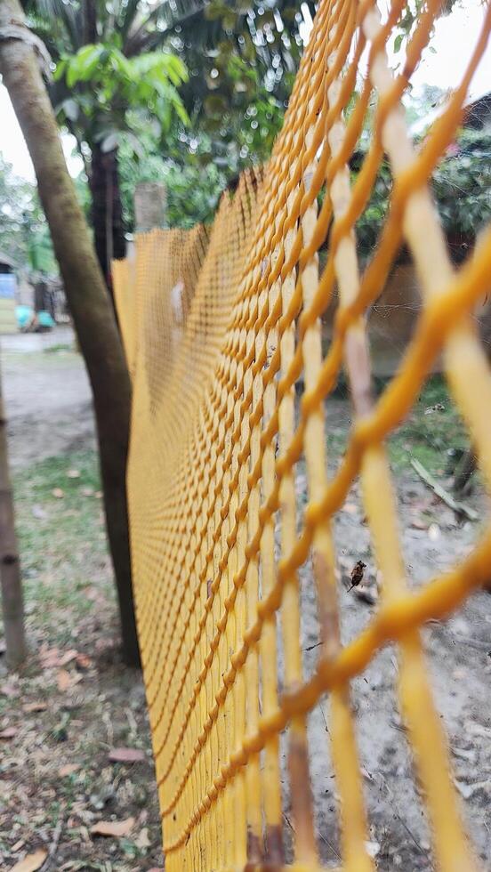A yellow net hanging from a tree photo