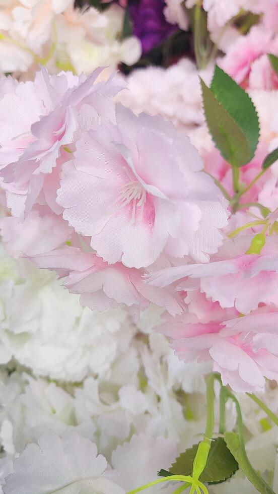 a bunch of pink and white flowers are in a vase photo