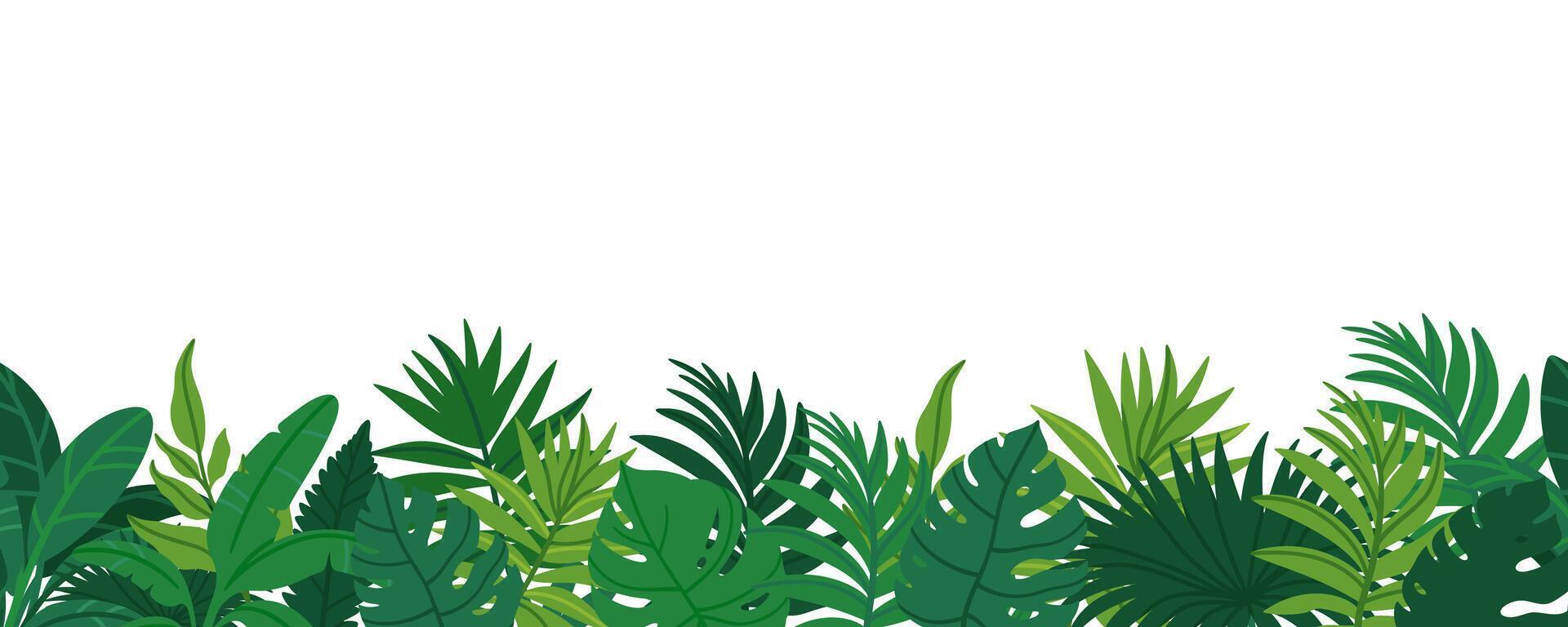 Jungle border. Tropical leaves banner. Exotic leaf. Nature green plants background. Cartoon botanical foliage, summer greenery bushes, floral tropic palm elements. illustration vector