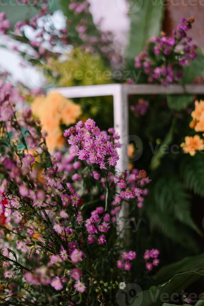Pastel Blossom Array, A Symphony of Soft Hues and Delicate Floral Texture photo