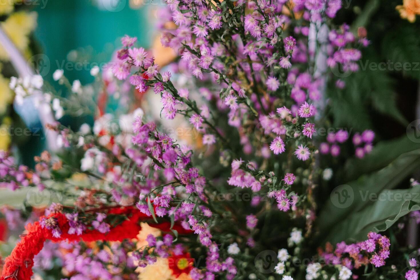 Delicate blooms of aster flowers showcasing vibrant colors and natural beauty photo