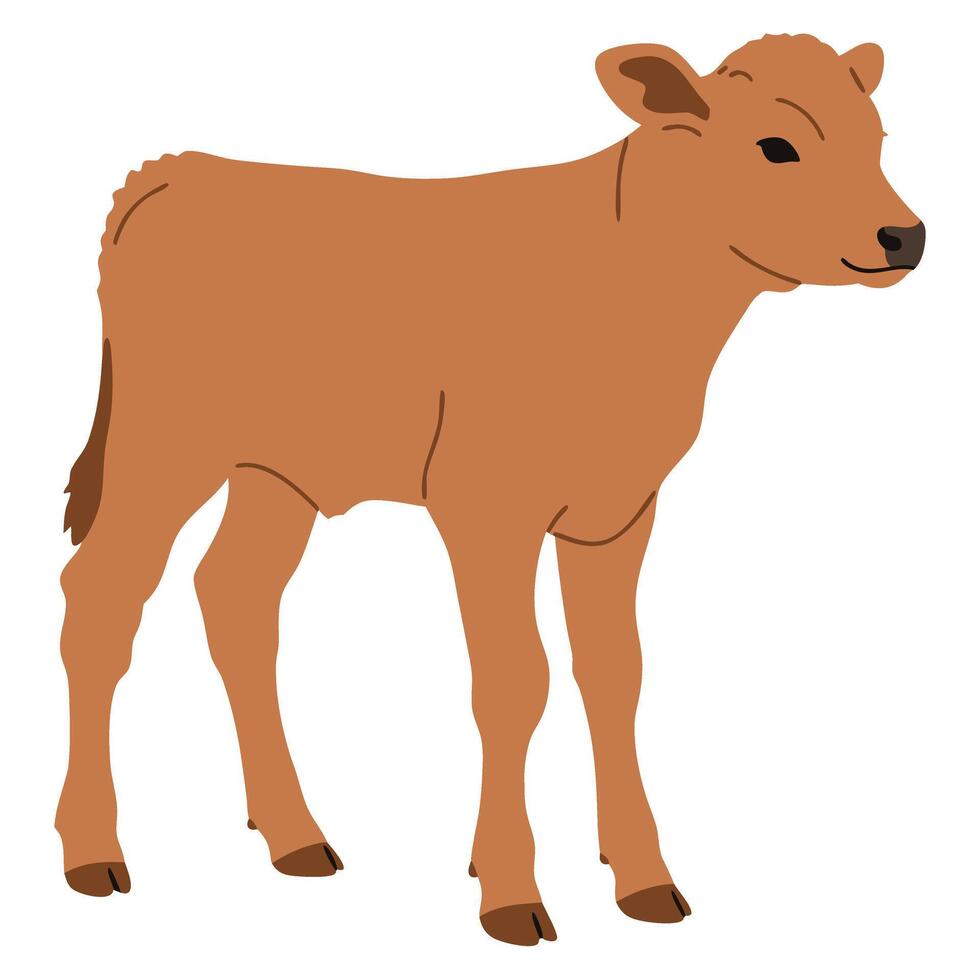 Cute Brown Calf Standing in Profile, Adorable Farm Animal, Simple Illustration vector
