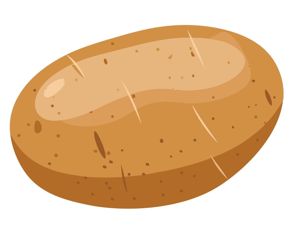 Freshly Harvested Potato with a Smooth Skin and Organic Texture vector