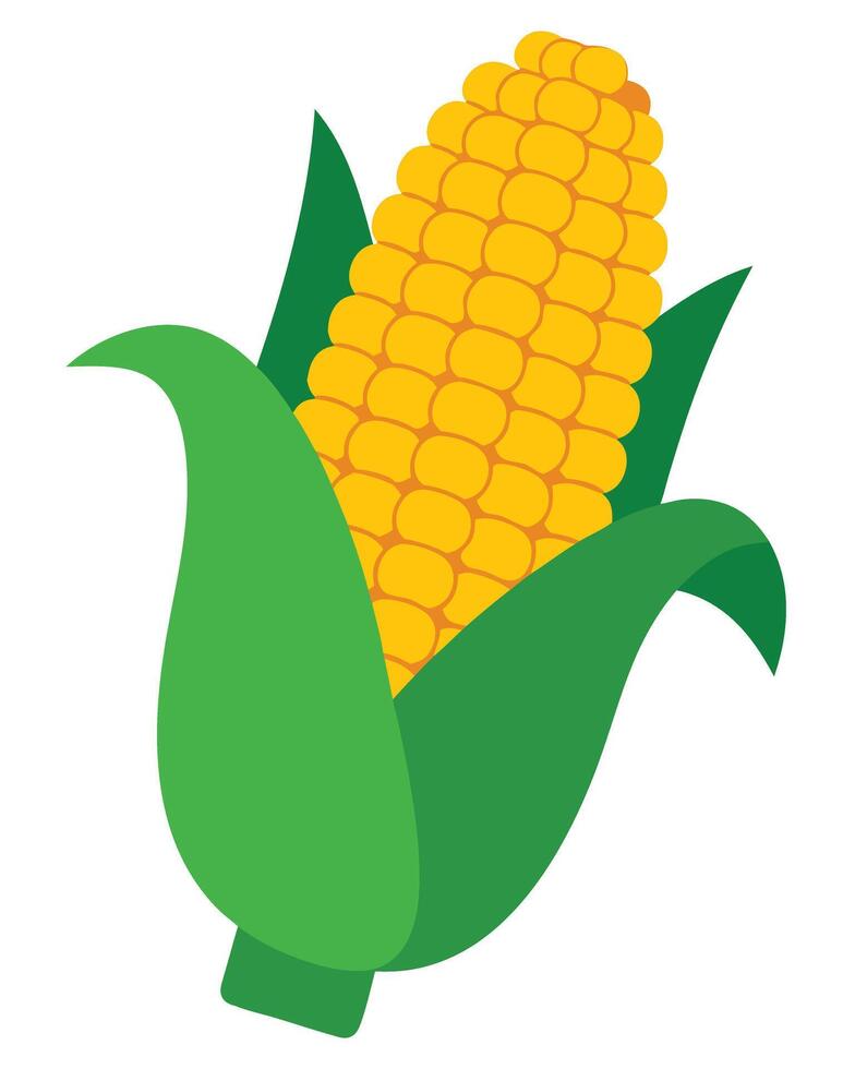 Bright Yellow Corn on Green Leaves with Flat Design for Agricultural and Food Themes vector