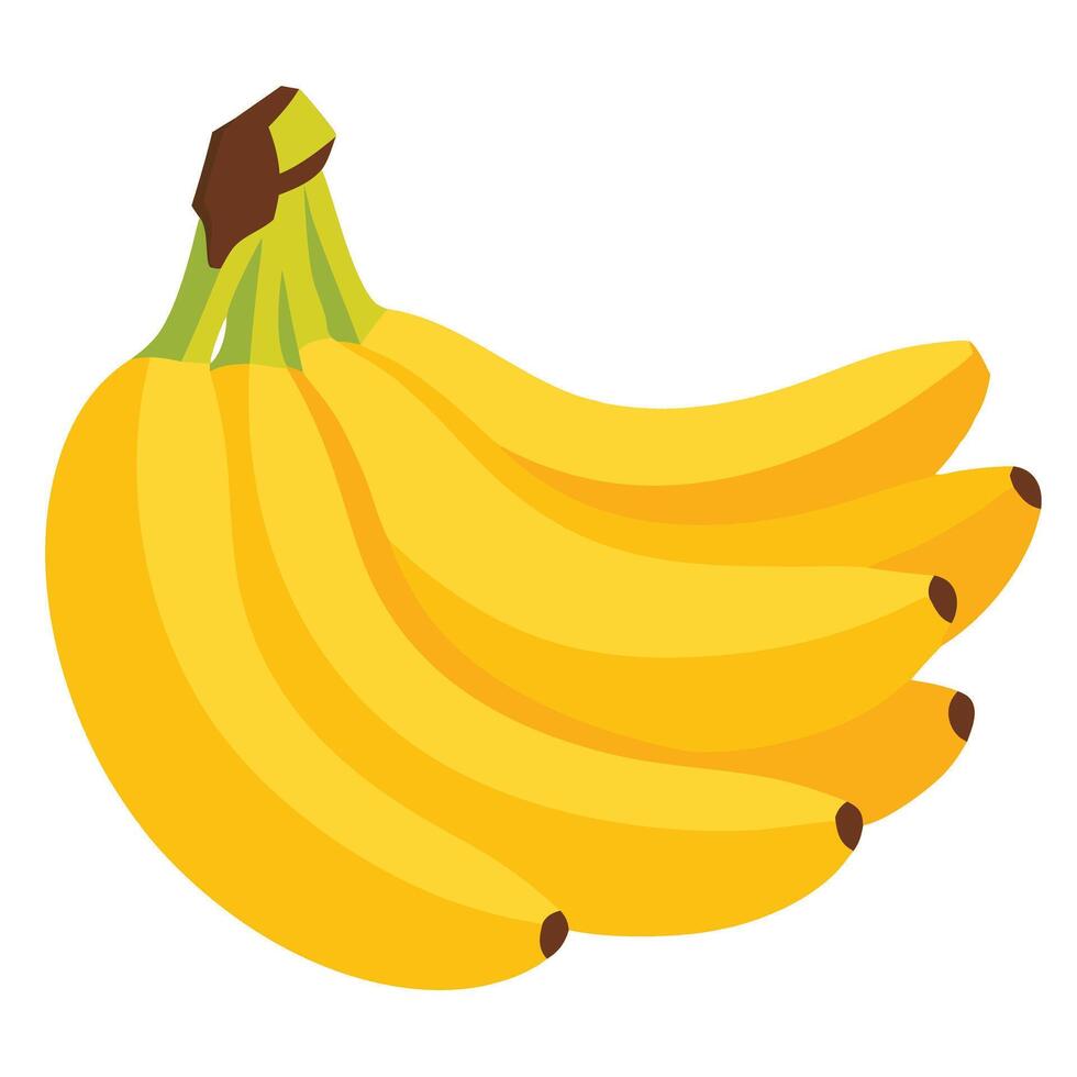 Fresh Yellow Bananas in a Vibrant Bunch Ready for Delicious Nutritional Enjoyment vector