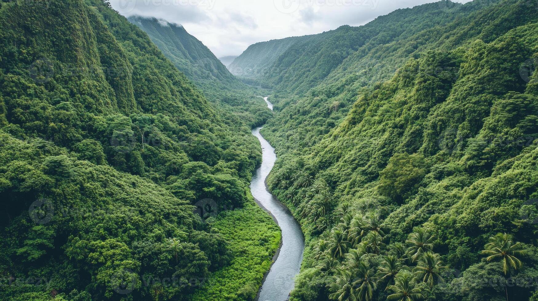 Lush greenery surrounds a winding river as it meanders through a tropical jungle valley, showcasing the serene beauty of nature in a remote setting photo