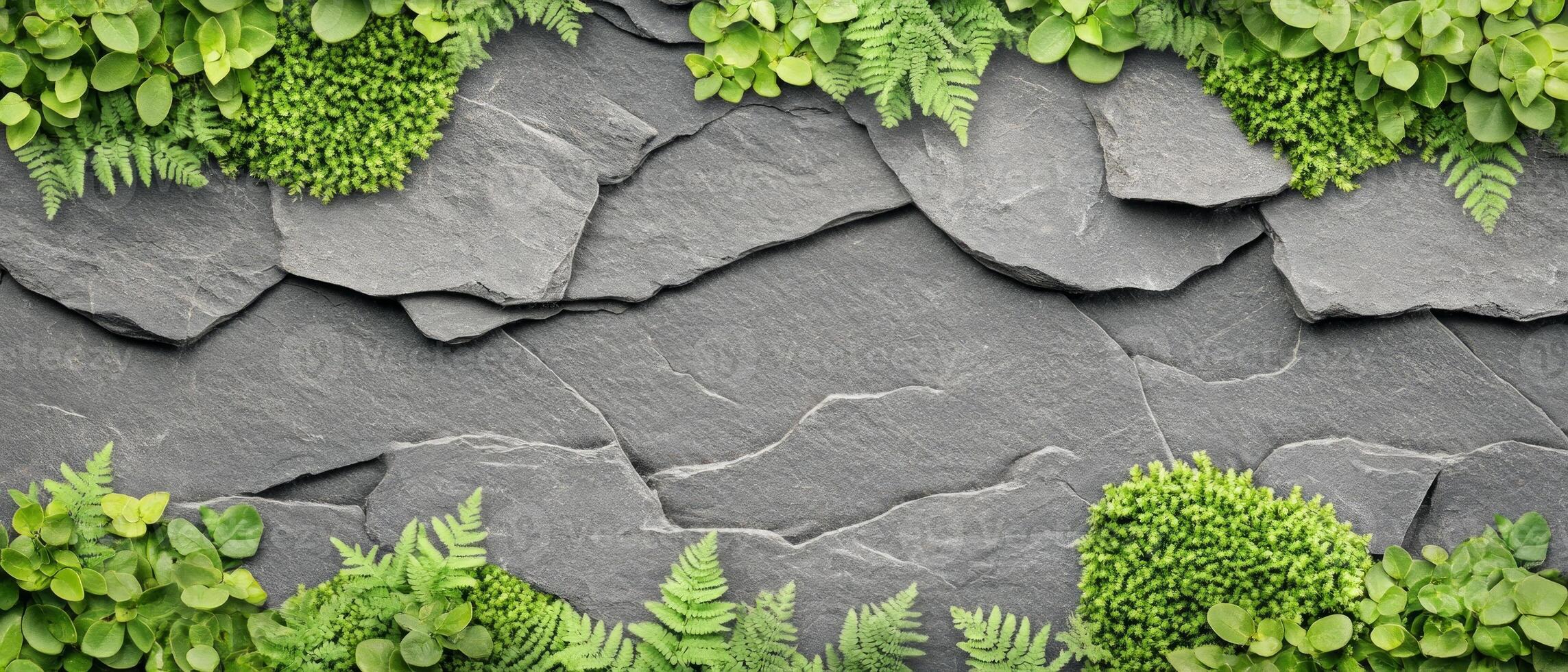 Vibrant greenery features various ferns and plants showcasing nature's beauty against a textured stone backdrop, perfect for representing tropical environments photo