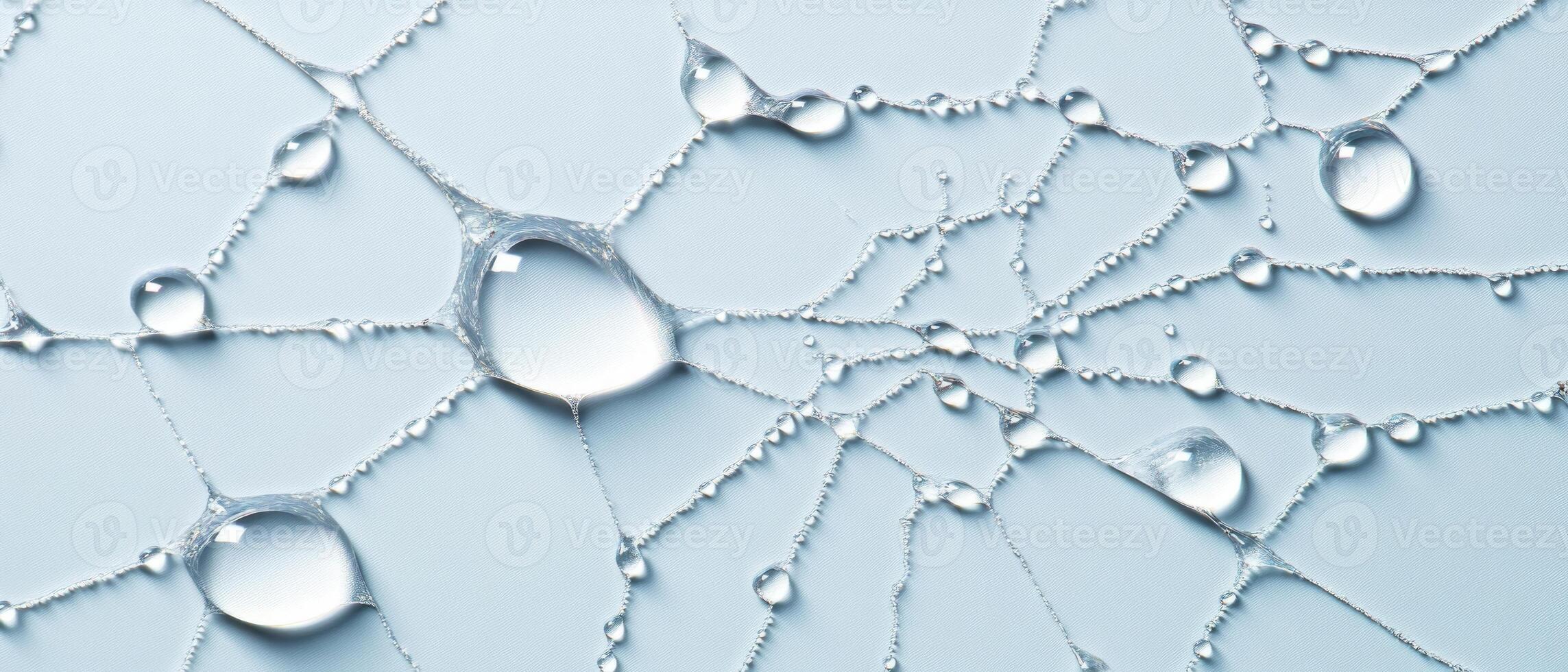 Delicate water droplets cling to a spider web, reflecting soft sunlight in a tranquil tropical environment, creating a beautiful display of nature's artistry photo