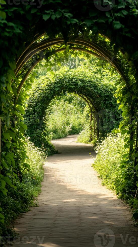 A tranquil pathway winds through a tropical jungle adorned with vibrant green vines and plants, inviting exploration and connection with nature photo