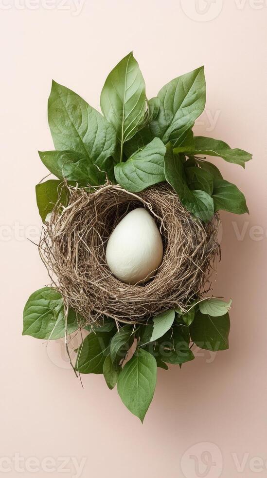 A beautifully crafted nest holds a single white egg, embraced by lush green leaves, creating a serene composition that represents renewal and nature photo
