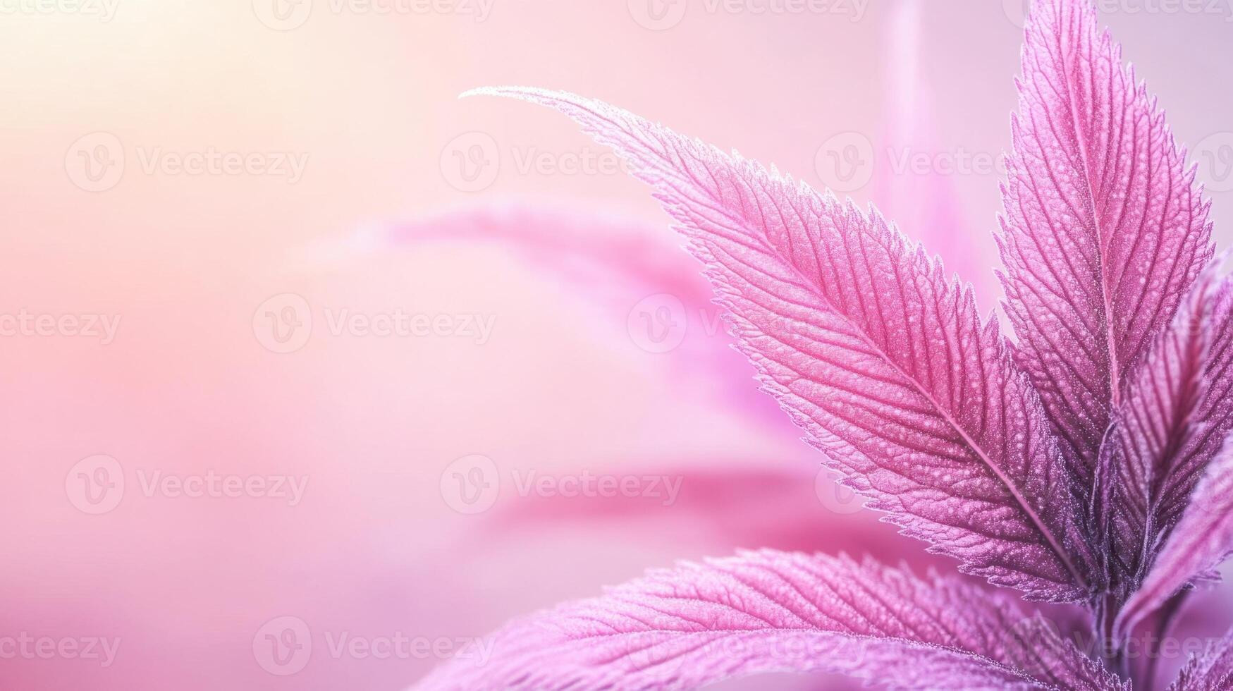 Close up of pink leaves. Detailed leaf veins with soft background. Beautiful pastel colors with gentle light and shadows. Natural beauty with shallow depth photo