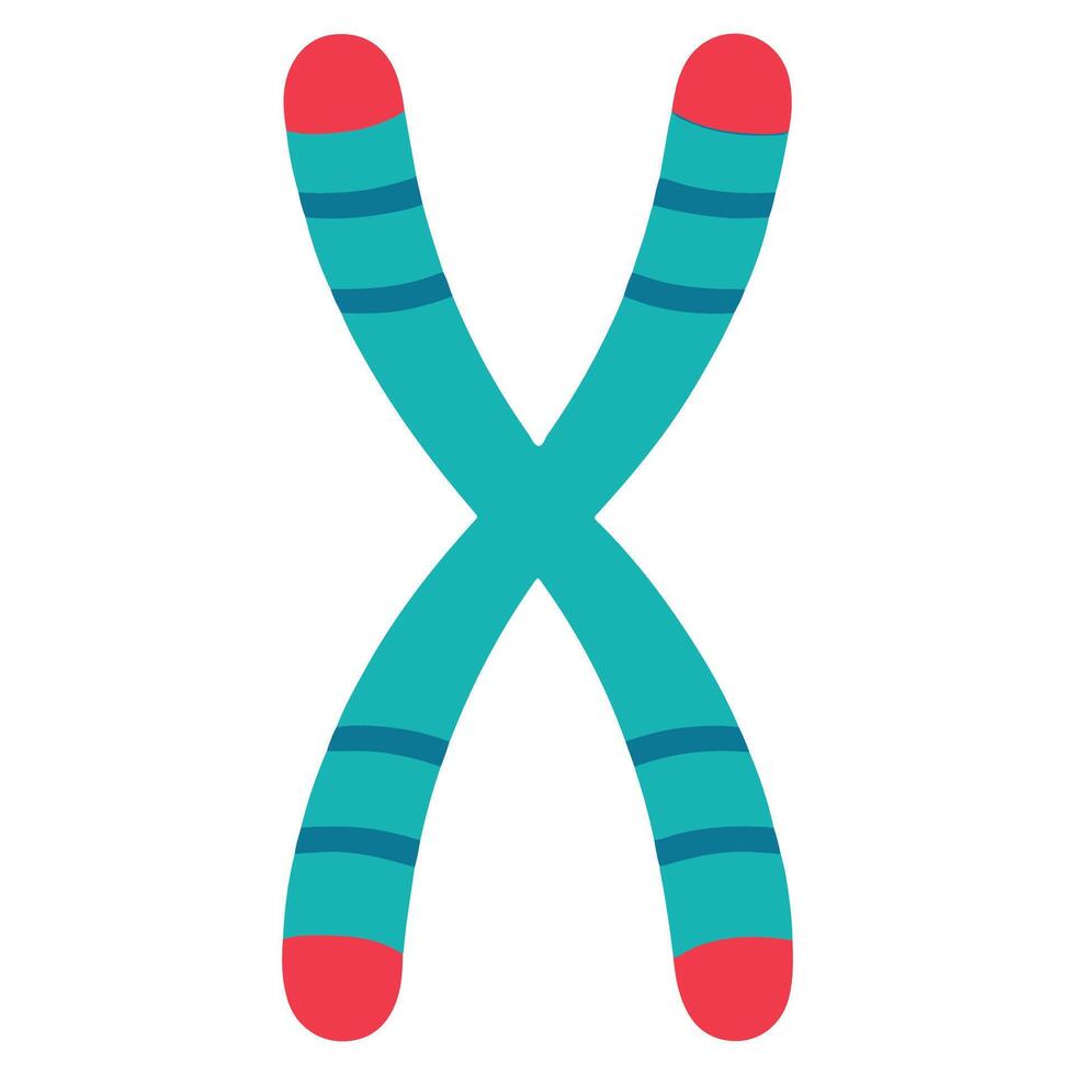 Chromosome illustration, science digital files, science department clipart , scientist Design Sublimation vector