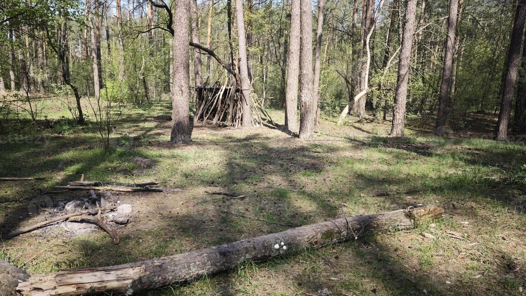 Small shelter made of branches in a forest photo