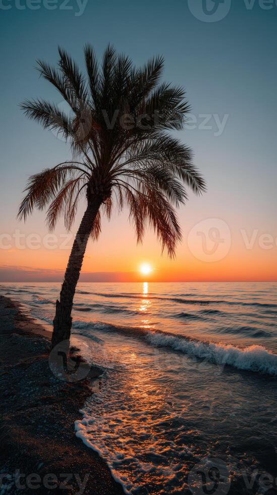 Beautiful sunset over a serene beach with palm tree silhouette photo