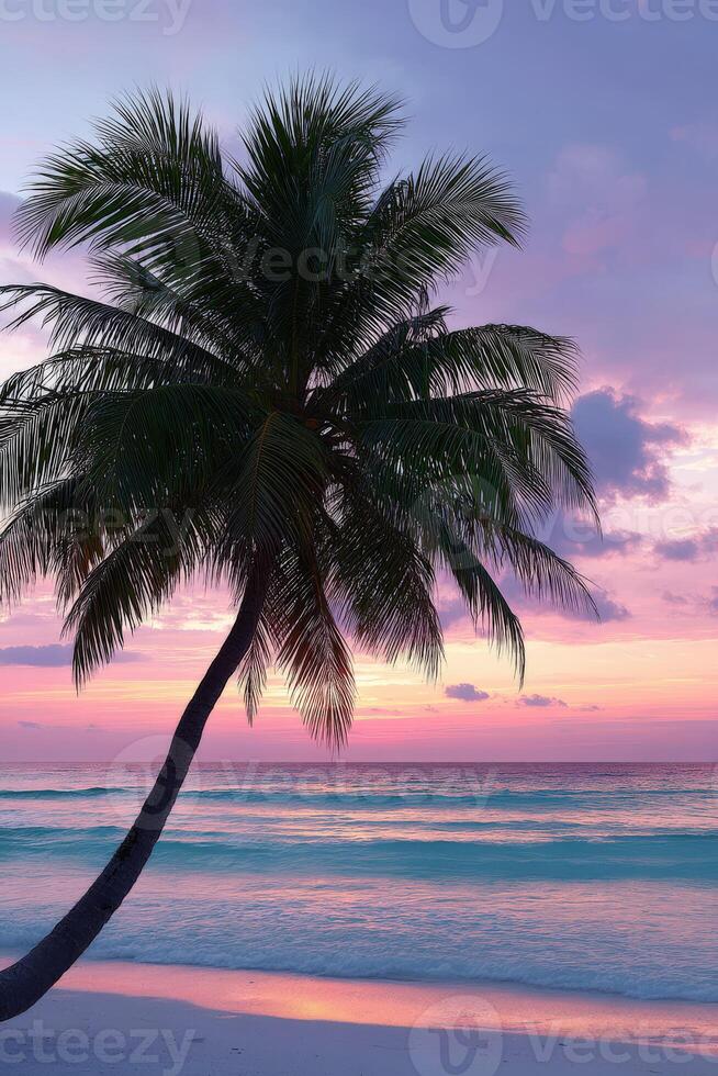 Sunset over the beach with a silhouetted palm tree photo