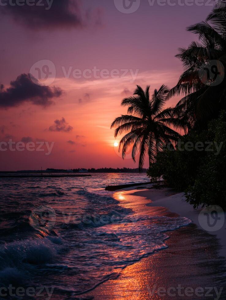 A sunset on a beach with palm trees photo