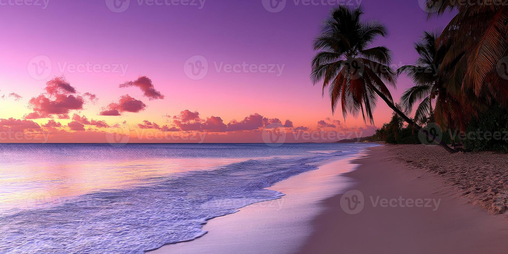 Serene sunset over tropical beach with swaying palm trees photo