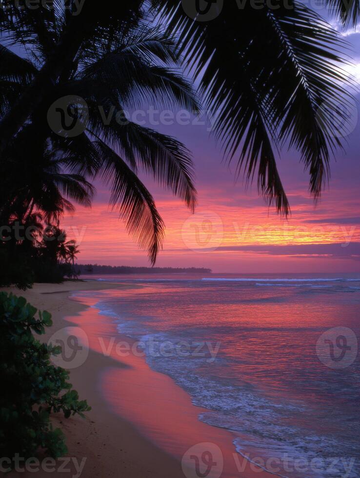 Sunset over calm beach with palm trees in tropical paradise photo