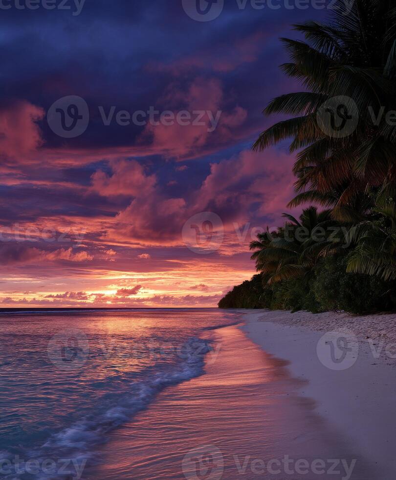 Beautiful sunset over a tranquil beach with palm trees photo