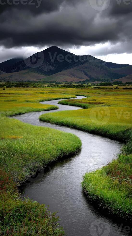 Winding river flows through lush green marshland under clouds photo