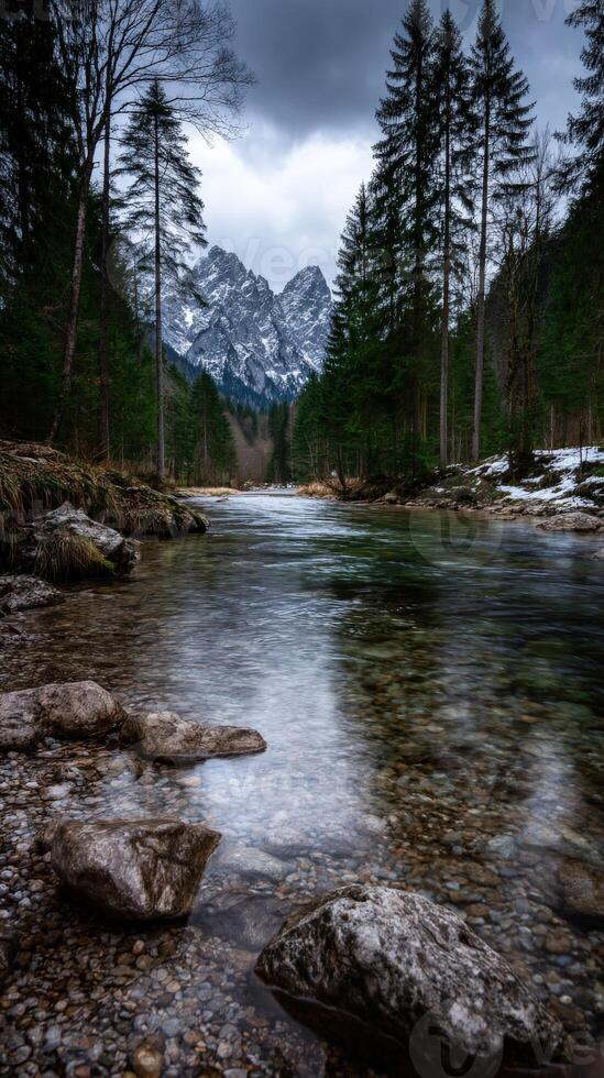 Scenic river flowing through a tranquil forested valley photo