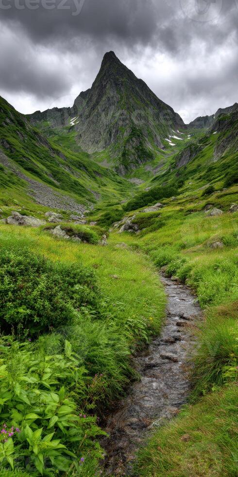 Stunning valley with a stream and lush greenery photo