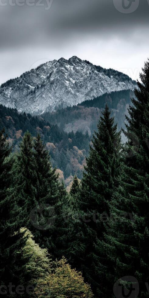 Majestic mountain peak hidden behind tall evergreen trees photo