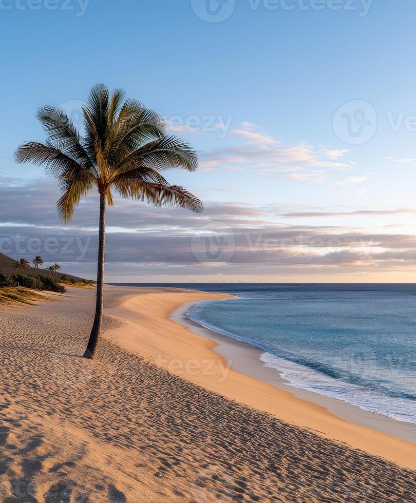 Beautiful tropical beach at sunrise with palm trees and gentle waves photo