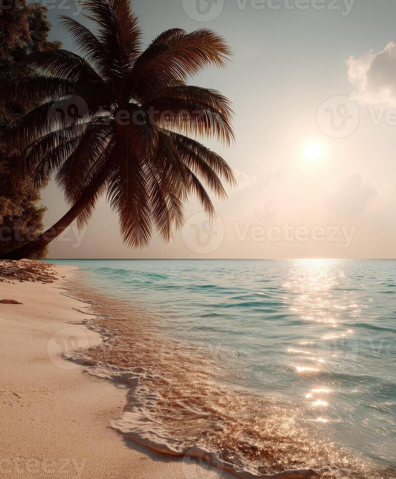 Sunrise over tranquil beach with palm trees and gentle waves at dawn photo