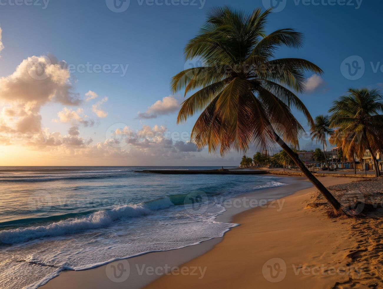 Beautiful sunset over tranquil beach with palm trees and gentle waves photo