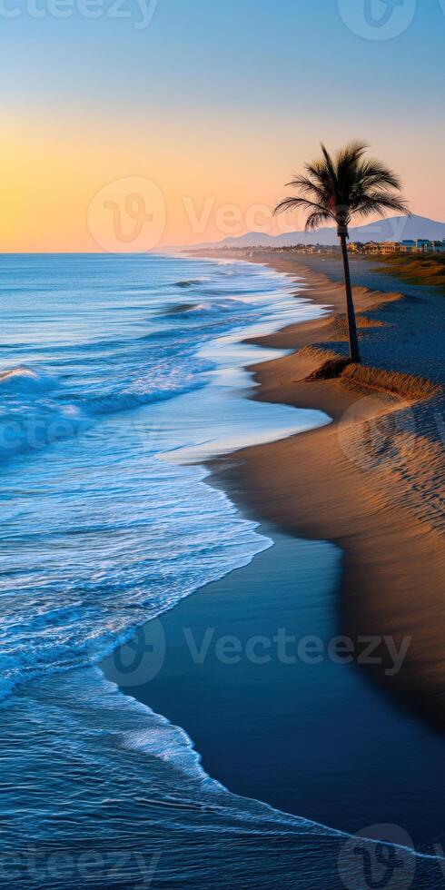 Sunset illuminates serene beach with gentle waves and palm trees photo