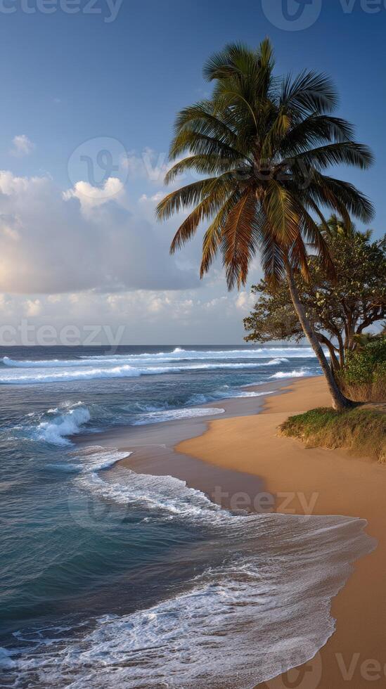 Beautiful tropical beach with palm trees and gentle waves at sunset photo