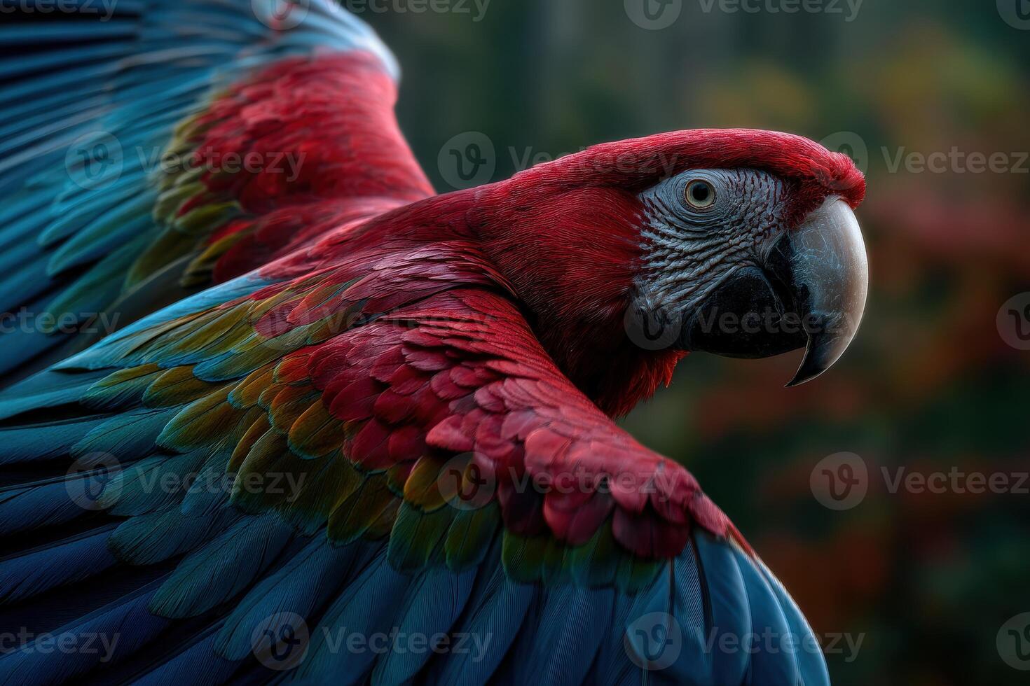 Brightly colored parrot displaying feathers in a lush forest setting photo