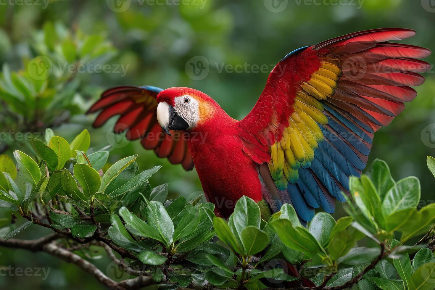Colorful macaw perched on branches with wings spread in a tropical forest photo